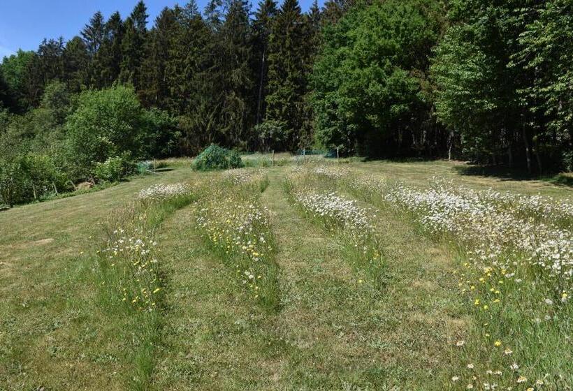 تختخواب و صبحانه Maison Bod Art