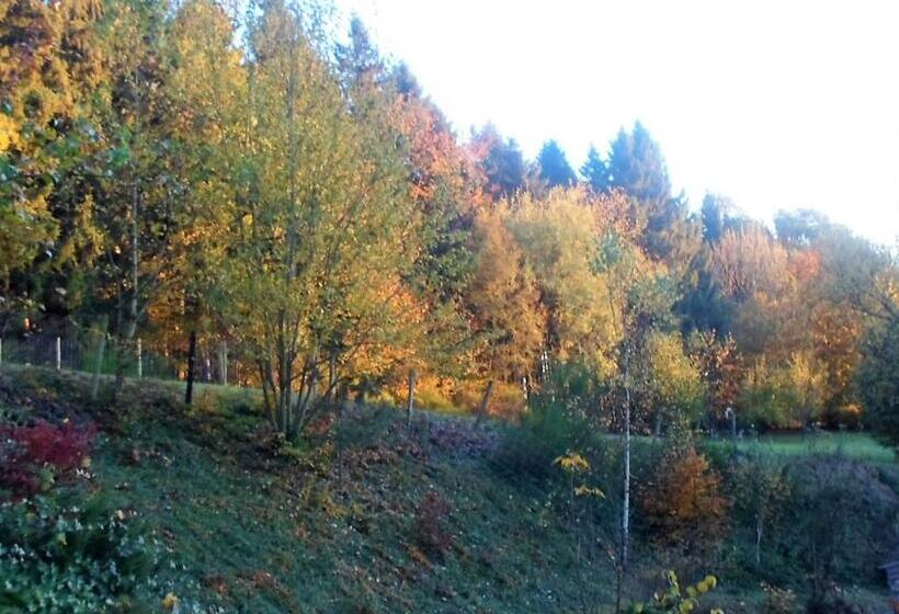 تختخواب و صبحانه Maison Bod Art