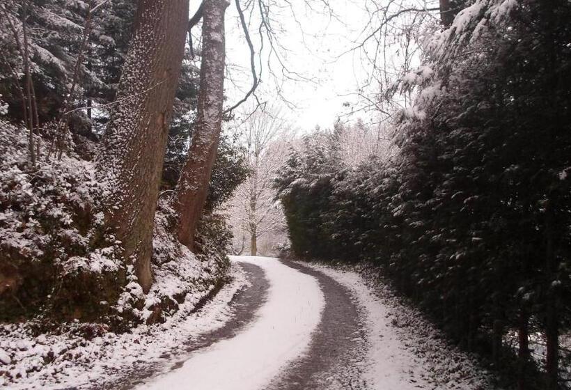 تختخواب و صبحانه Maison Bod Art