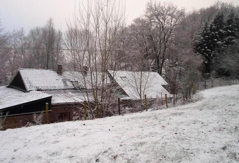 تختخواب و صبحانه Maison Bod Art