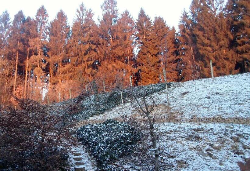 تختخواب و صبحانه Maison Bod Art