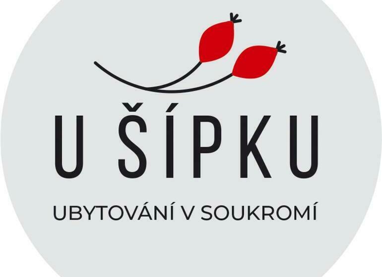 膳宿费 Dům U šípku