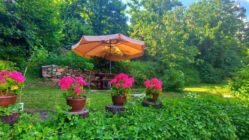 بنسيون Penzion Tomino