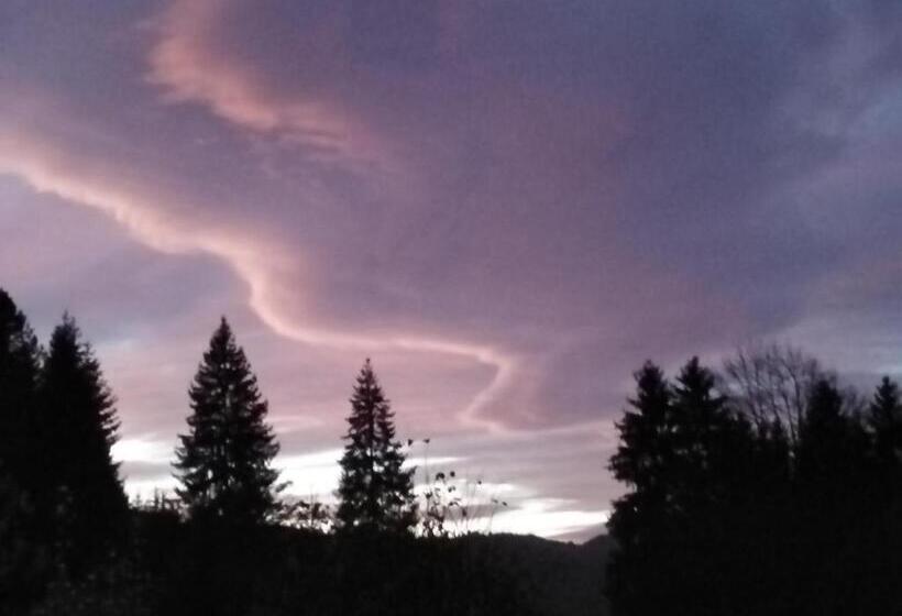 Pension Cabana Ionela