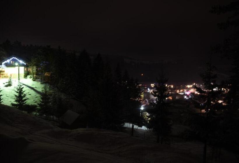 Pension Cabana Ionela