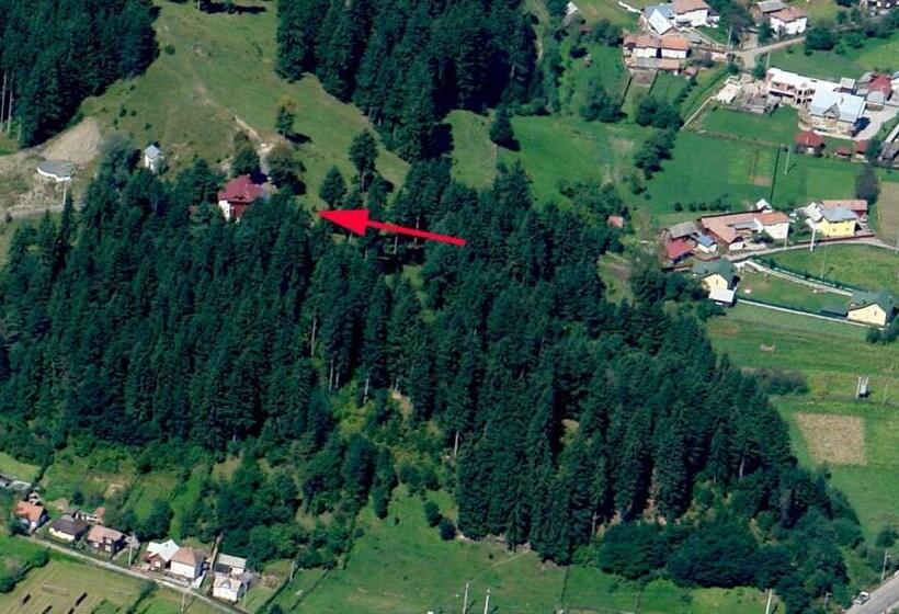 Pension Cabana Ionela