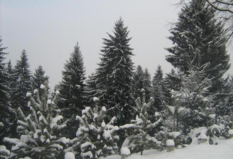 Pension Cabana Ionela