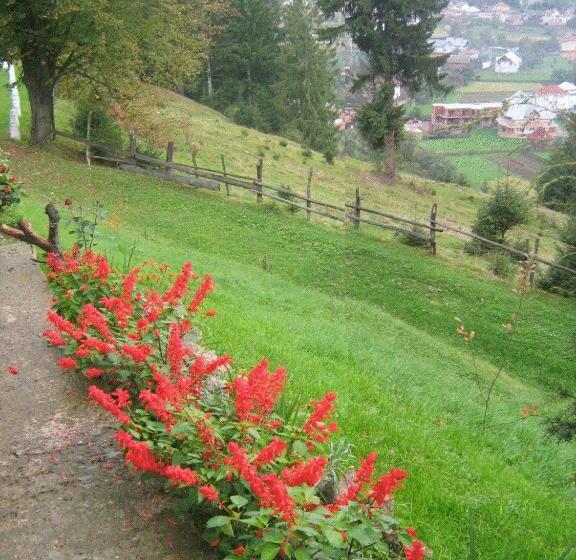 Pension Cabana Ionela