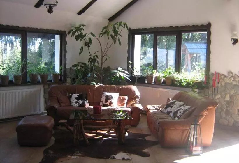 Pension Cabana Ionela