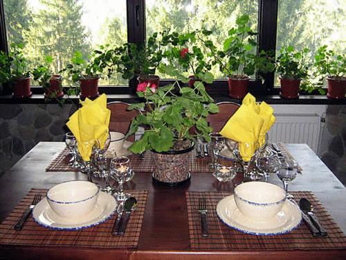 Pension Cabana Ionela