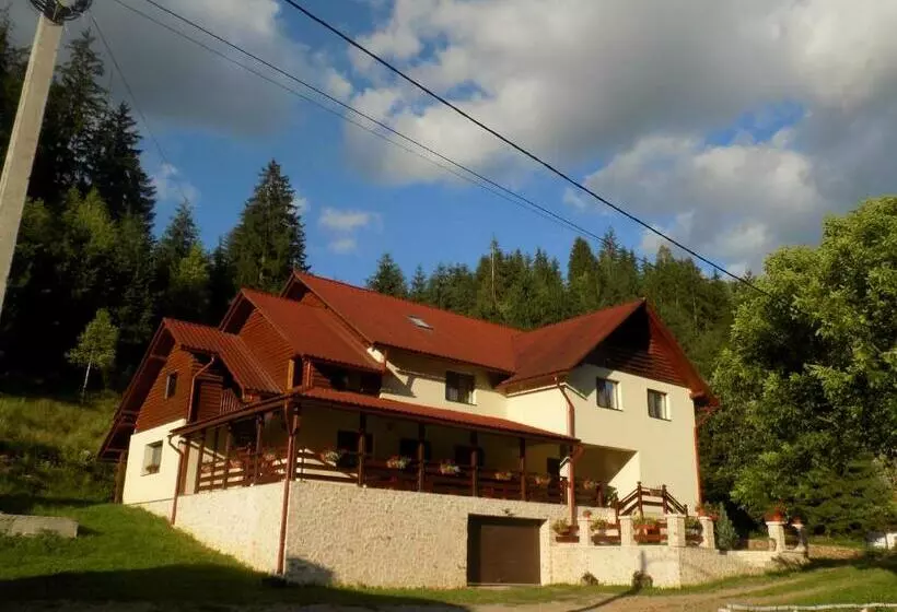Pensiunea Agroturistică Casa Brădeana