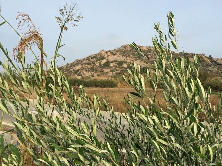 Depis Edem Luxury Villas