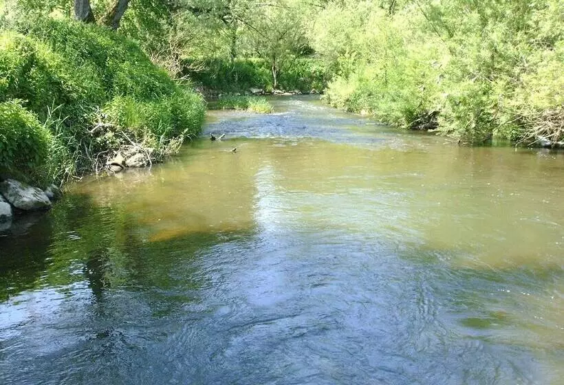 Ferienhaushotel Zur Grünen Oase
