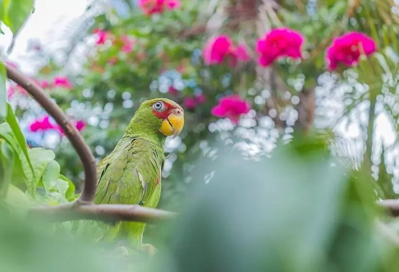 هتل Lagoon  Pet Friendly