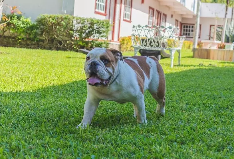 هتل Lagoon  Pet Friendly