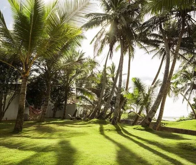 Hotel Rockside Beach Resort