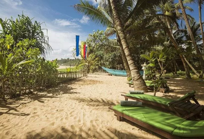 Hotel Rockside Beach Resort