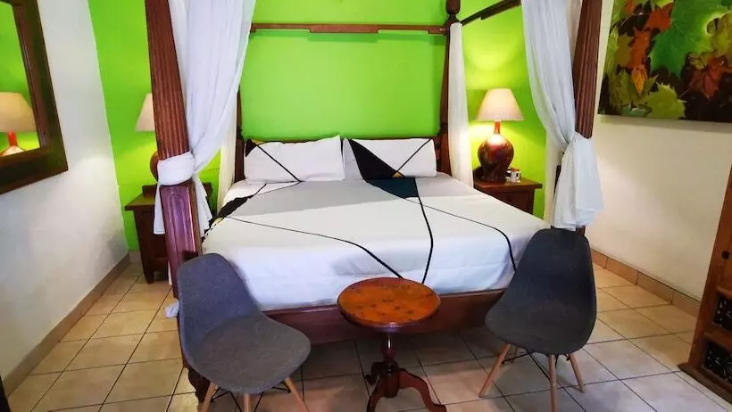 Отель Rosa Morada