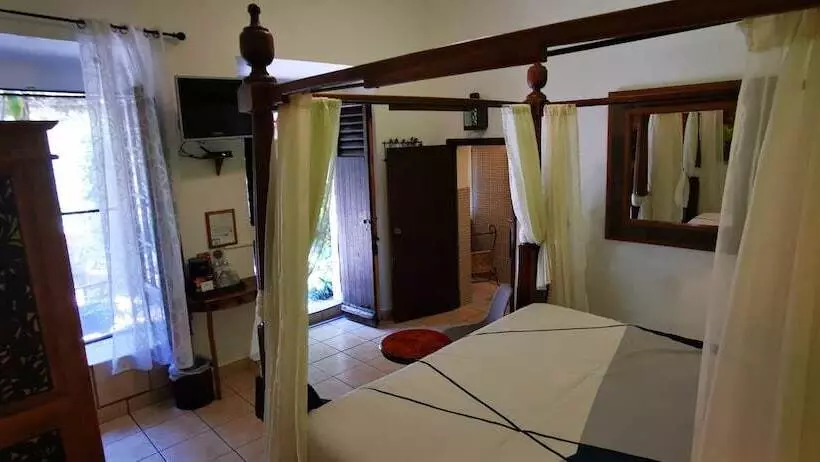 Отель Rosa Morada