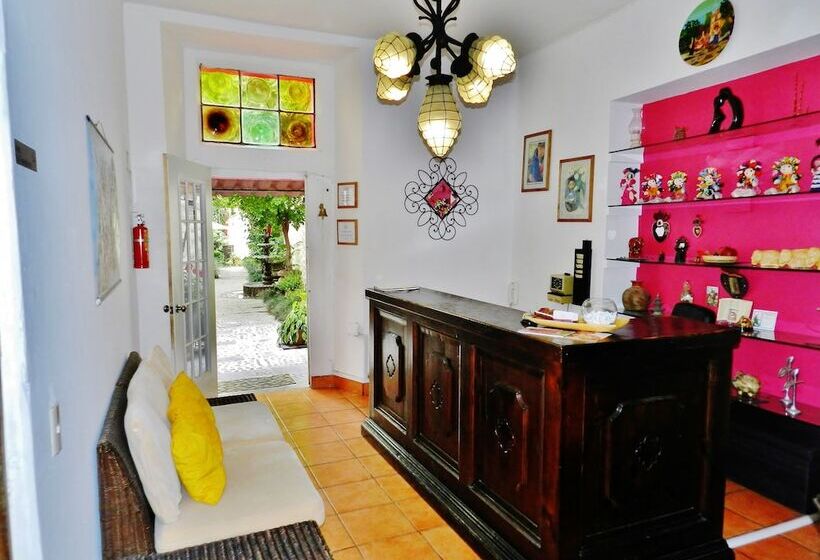 فندق Rosa Morada