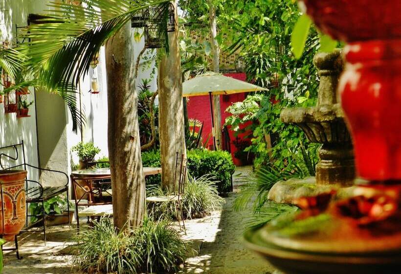 فندق Rosa Morada