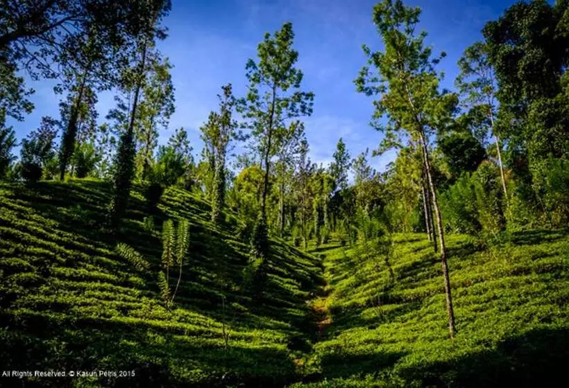 هتل The Tea Cottage Resort & Spa