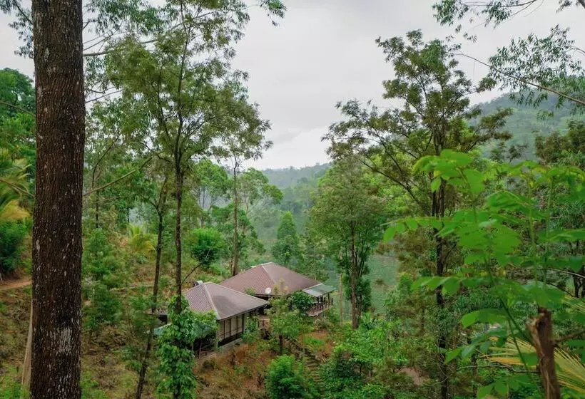 هتل The Tea Cottage Resort & Spa