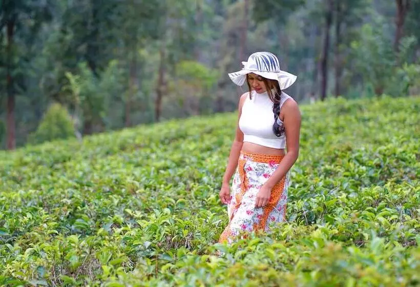 هتل The Tea Cottage Resort & Spa