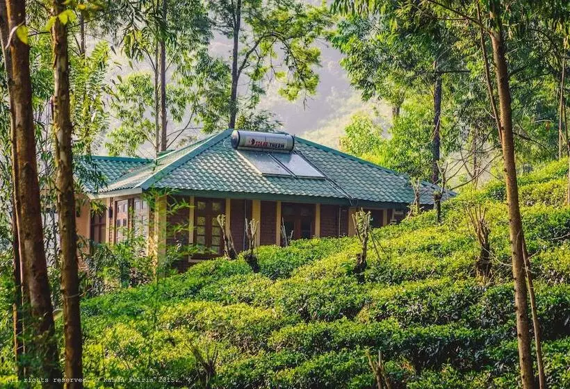 هتل The Tea Cottage Resort & Spa