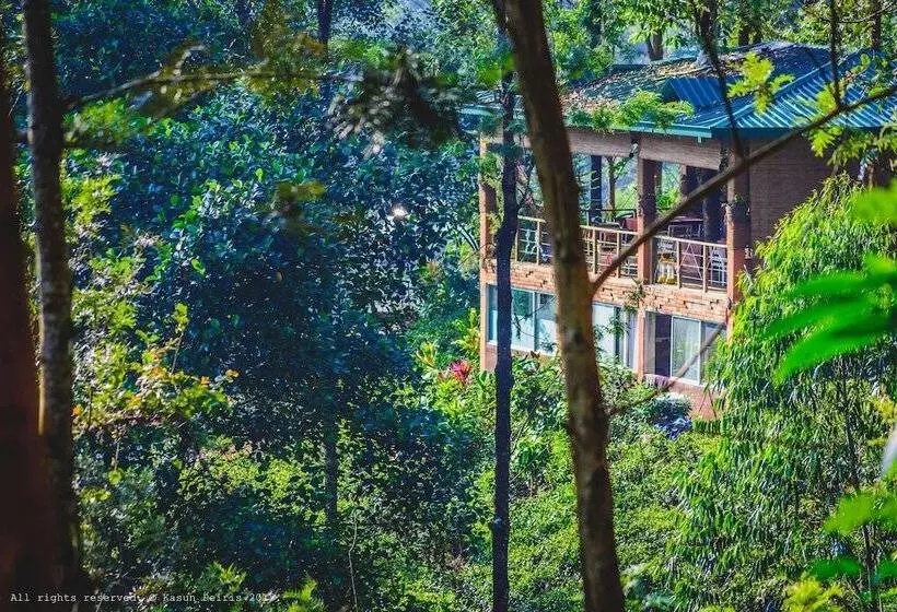هتل The Tea Cottage Resort & Spa