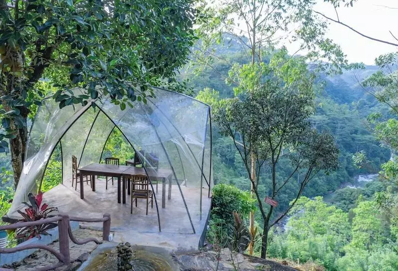 هتل The Tea Cottage Resort & Spa