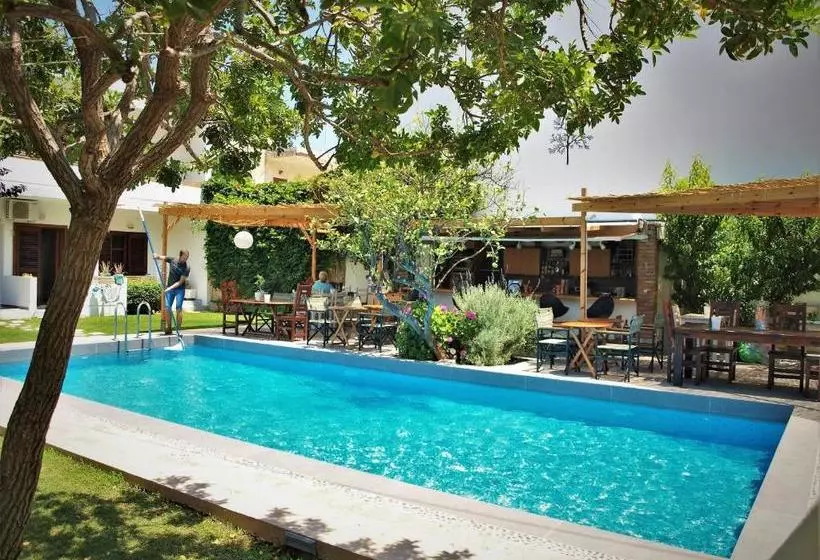 Hotel Tree Of Life Art