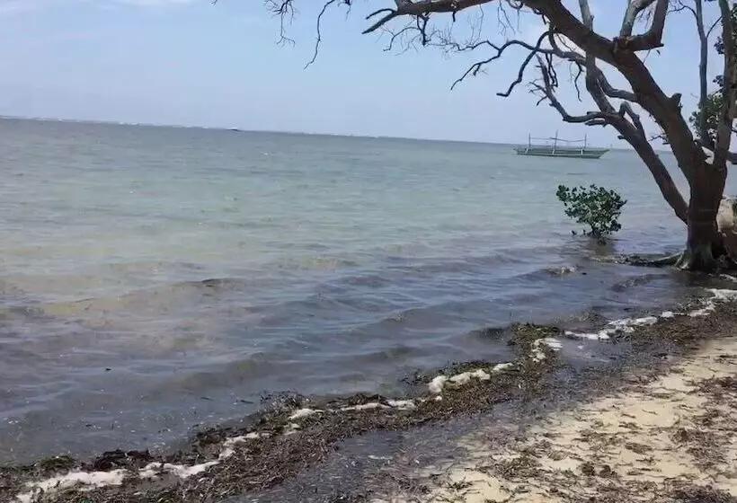 Lomakeskus The Emerald Playa