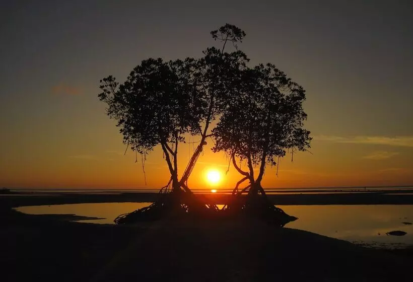 Lomakeskus The Emerald Playa