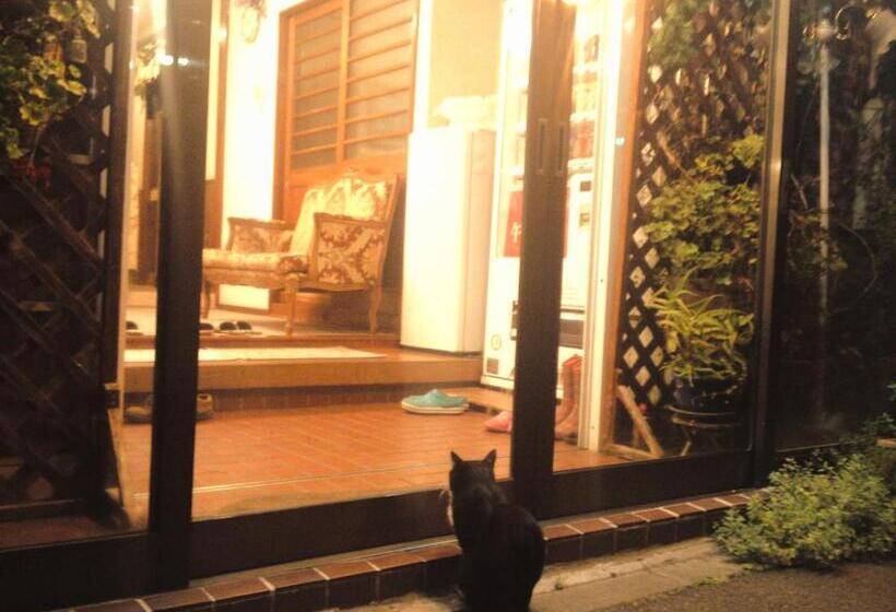 민박 Pension Puppy Tail