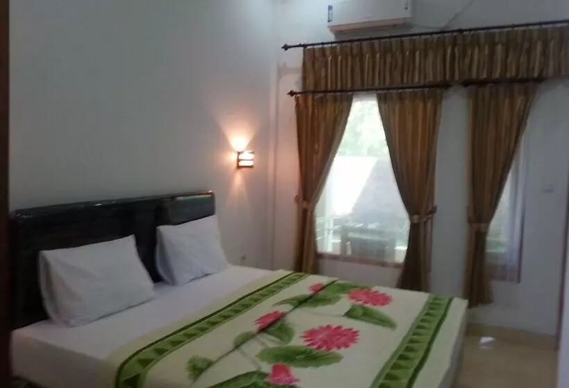 ホテル Albany Home Stay