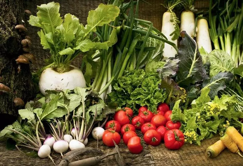 בית מלון כפרי Satoyama No Kyujitsu Kyoto Keburikawa