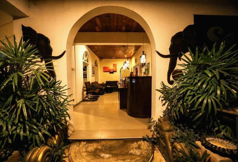 בית מלון כפרי Seyara Holiday Resort