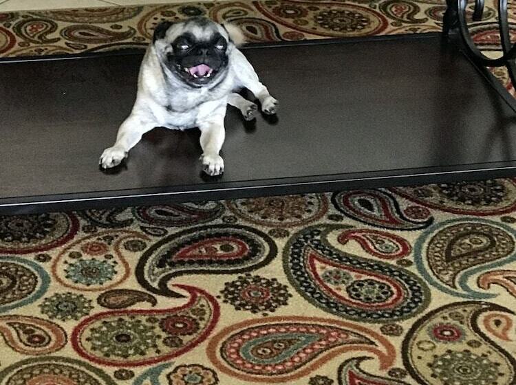 מוטל Sands Inn & Suites