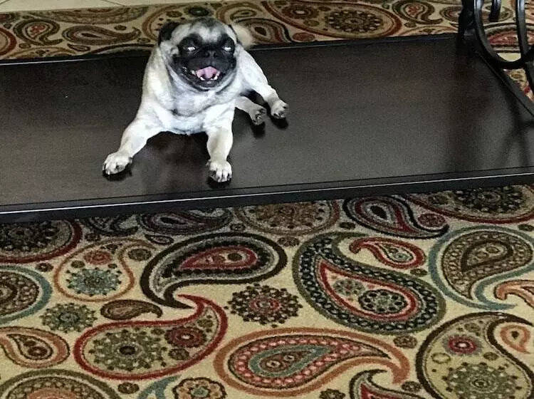 모텔 Sands Inn & Suites