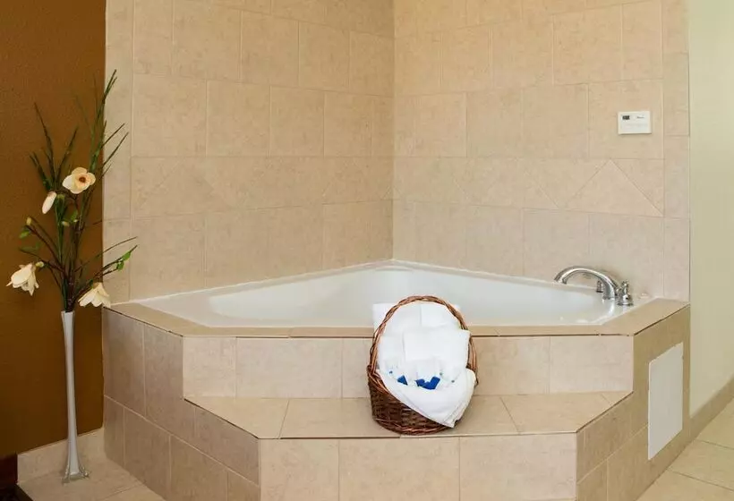 모텔 Sands Inn & Suites