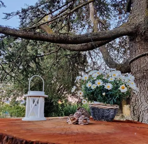 Relais Felciaino B&b