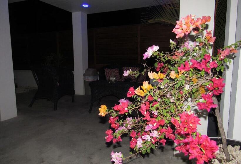 Bubali Villa & Apartments