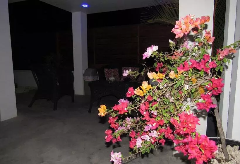 Bubali Villa & Apartments