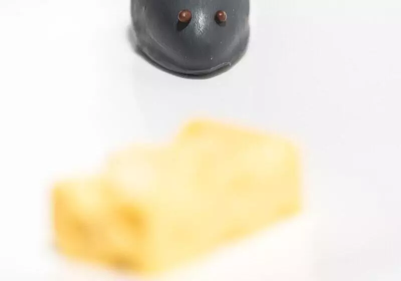 Отель Arborina Relais