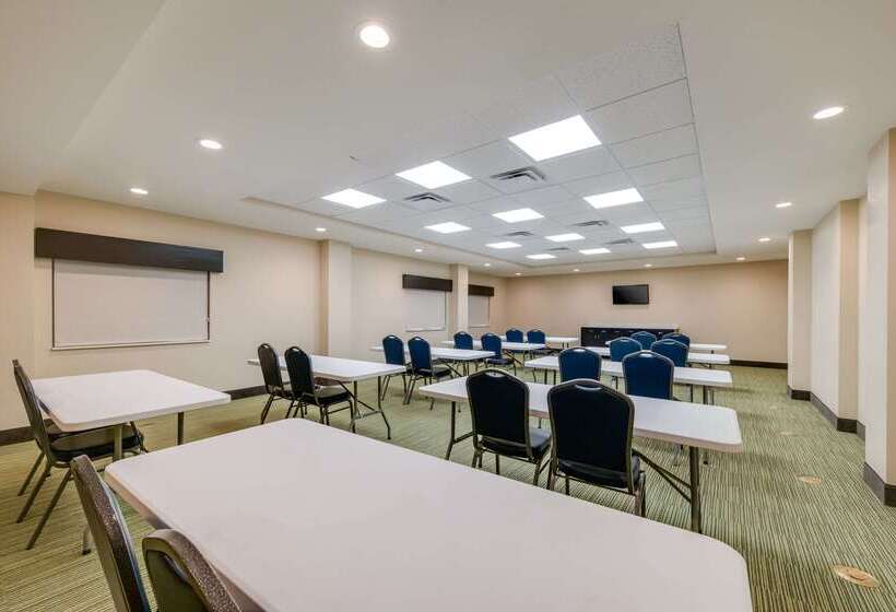 호텔 Quality Inn & Suites