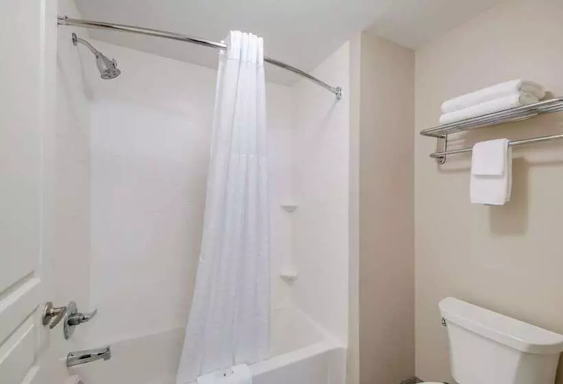 ホテル Quality Inn & Suites