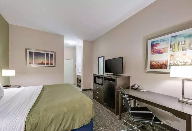 ホテル Quality Inn & Suites