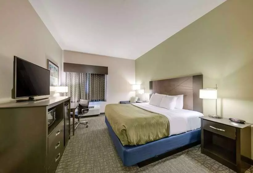 ホテル Quality Inn & Suites