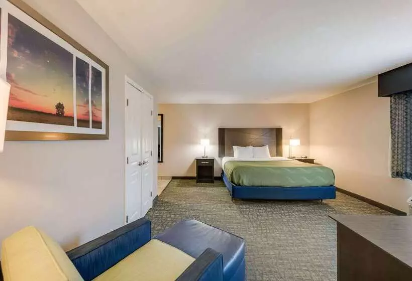 ホテル Quality Inn & Suites